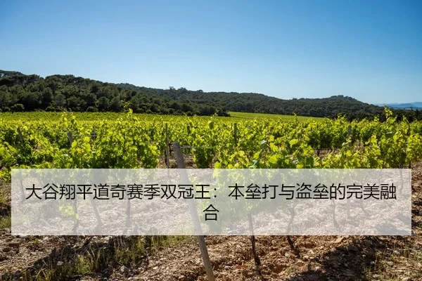 大谷翔平道奇赛季双冠王：本垒打与盗垒的完美融合